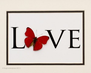 Love with Butterfly