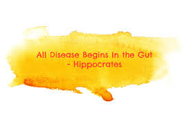 Healthy Gut Hippocrates Quote