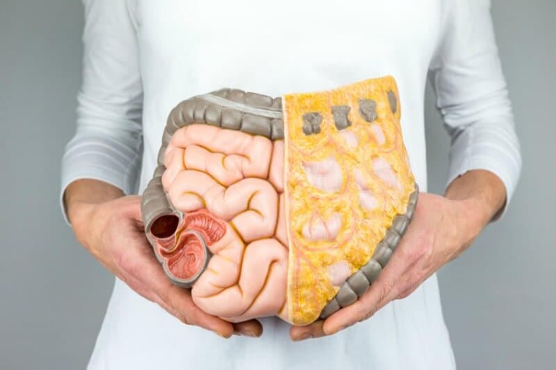 What is Colon Hydrotherapy?